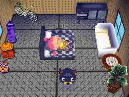 Interior of Poncho's house in Animal Crossing: Wild World