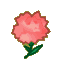Pink Carnations CF Icon.png