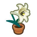 White-Lily Plant NH Inv Icon.png