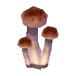 Skinny Mushroom NL Model.png