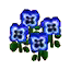 Blue Pansies (Outside) HHD Icon.png