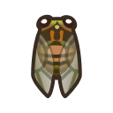 Evening cicada