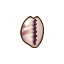 Cowrie Shell NBA Badge.png