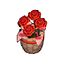 Red Carnations HHD Icon.png