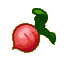 Red Turnip CF Icon 3.png