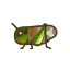 Migratory Locust HHD Icon.png