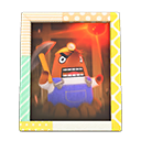 Resetti's Photo (Pop) NH Icon.png