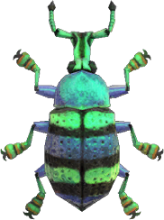 Artwork of blue weevil beetle