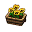 Yellow Pansies HHD Icon.png