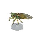 Evening Cicada Model NH Icon.png