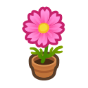 Pink-Cosmos Plant NH Inv Icon.png
