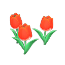 Red-tulip plant