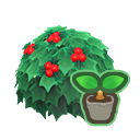 Holly Start NH Icon.png