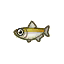 Pond Smelt HHD Icon.png