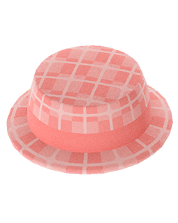 Pro Design Brimmed Hat NH Icon.png