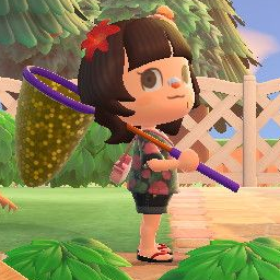 Darb.png