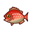 Red Snapper NBA Badge.png