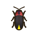Firefly NH Icon.png