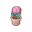 Potted Blush Hydrangea PC Icon.png