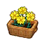 Yellow Cosmos HHD Icon.png