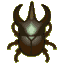 Atlas Beetle
