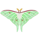 Luna Moth PC Icon.png