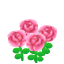 Pink Roses NBA Badge.png