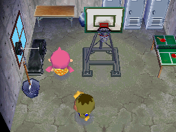 Interior of Deena's house in Animal Crossing: Wild World