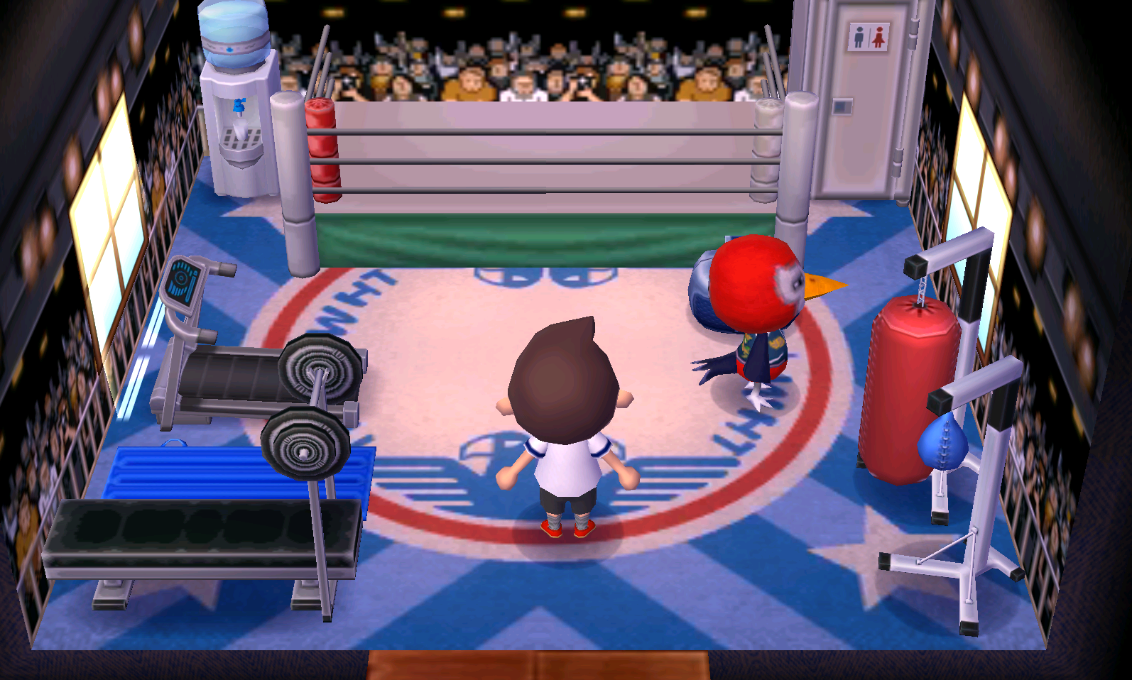 Interior of Lucha's house in Animal Crossing: New Leaf