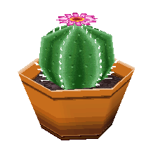round cactus