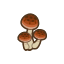Skinny Mushroom NBA Badge.png