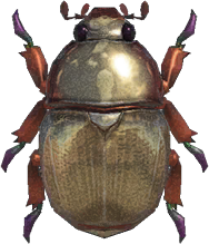 Artwork of Scarab beetle
