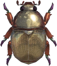 Artwork of Scarab Beetle