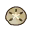 Sand Dollar NL Icon.png