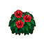 Red Hibiscus HHD Icon.png