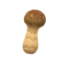 Elegant mushroom