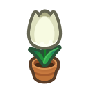 White-Tulip Plant NH Inv Icon.png