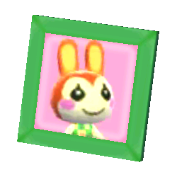 Bunnie's Pic NL Model.png
