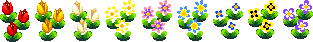 Flowers PG.png