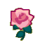 Pink Roses CF Icon.png