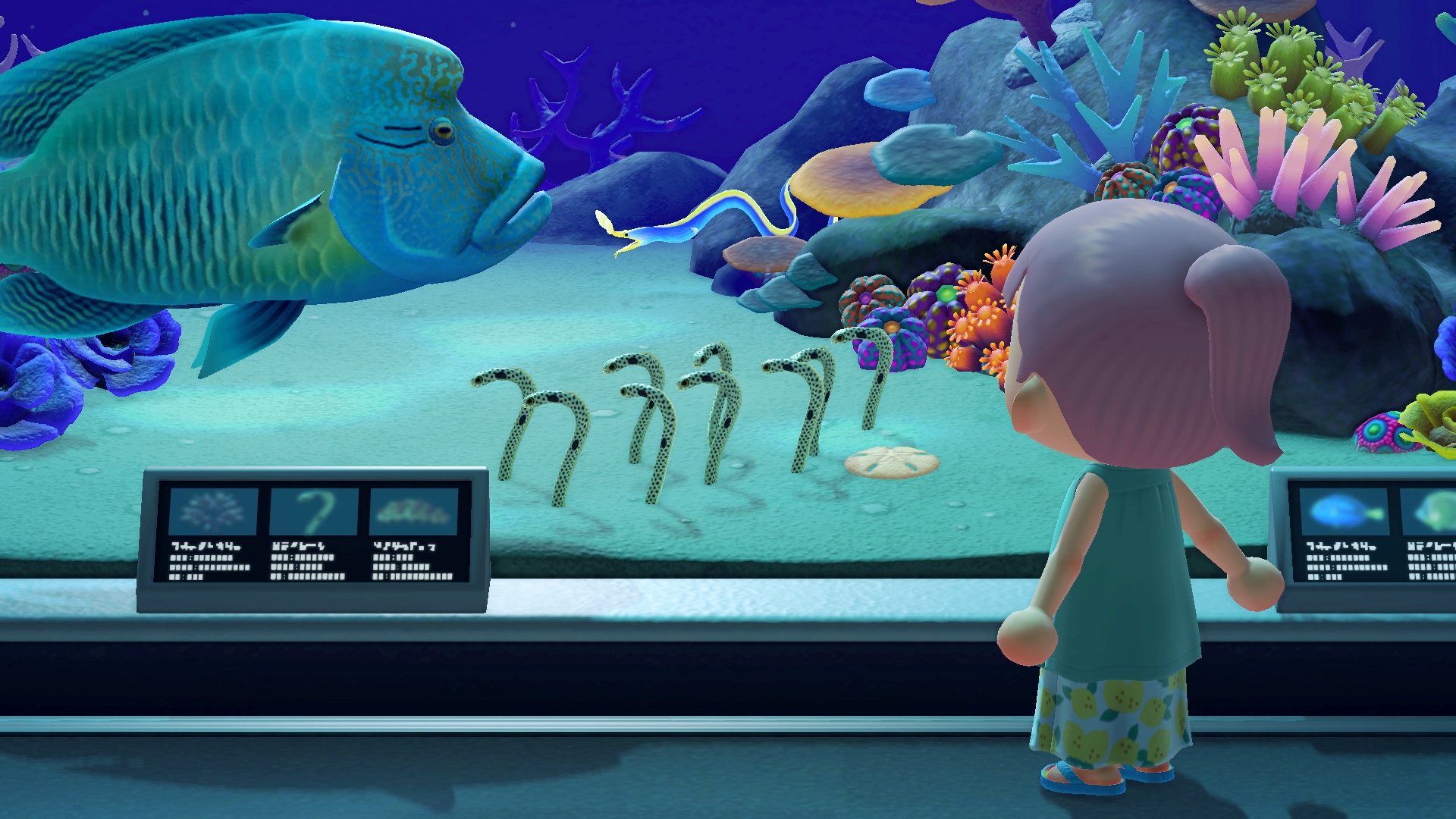 NH Spotted Garden Eels Museum Free Summer Update.png