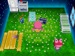 Interior of Puddles's house in Animal Crossing: Wild World