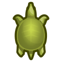 Soft-shelled turtle