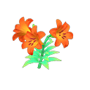 Orange-lily plant