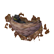Sparrow's nest