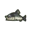 Barbel Steed HHD Icon.png