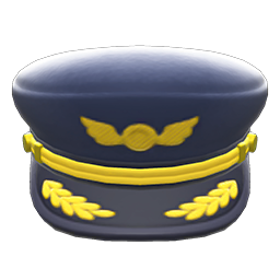 Pilot's hat