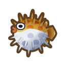 Puffer Fish NH Icon.png