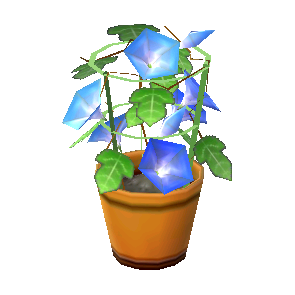 Morning Glory (Blue Flower) NL Model.png