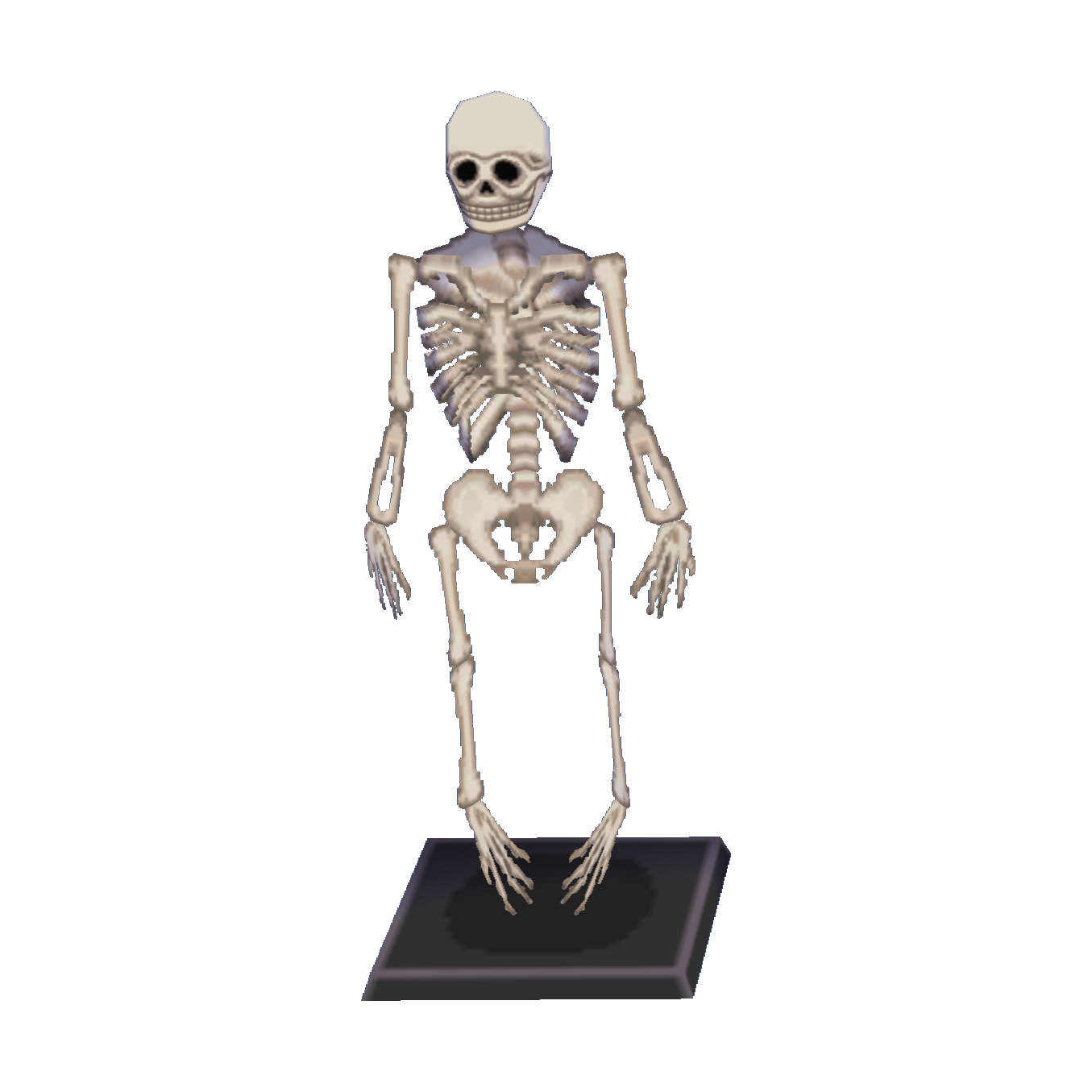 Skeleton CF Model.png